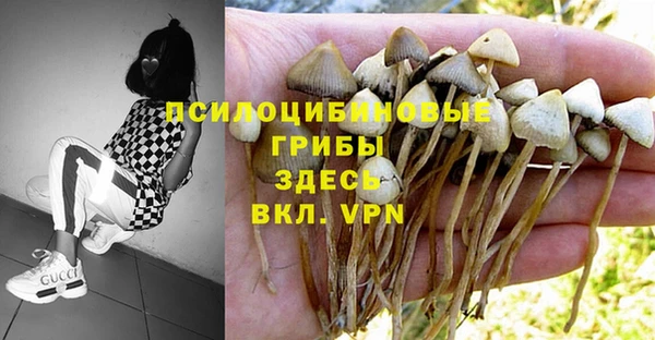синтетический гашиш Балахна