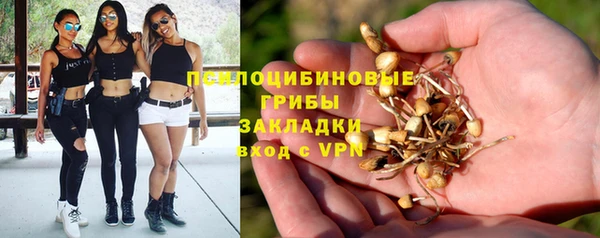 мет Аркадак