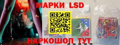 сатива Новозыбков