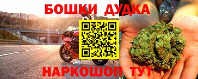 сатива Новозыбков