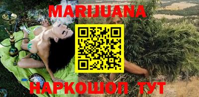 сатива Новозыбков