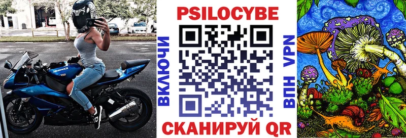 Галлюциногенные грибы GOLDEN TEACHER где продают наркотики Чайковский