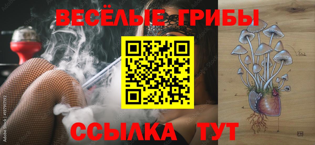 Псилоцибиновые грибы GOLDEN TEACHER  Вход с VPN  Чайковский  Галлюциногенные грибы Psilocybe 